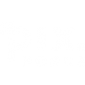 pix-force-logo-light